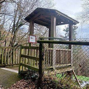 Karpín Fauna - Viewing for caiman enclosure