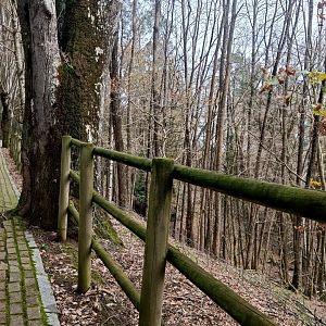 Karpín Fauna - Roe deer enclosure