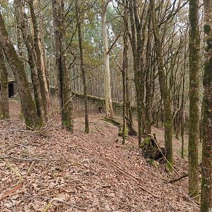 Karpín Fauna - Roe deer enclosure