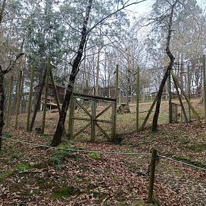 Karpín Fauna - Barbary macaque enclosure 1