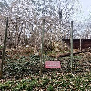 Karpín Fauna - Barbary macaque enclosure 2