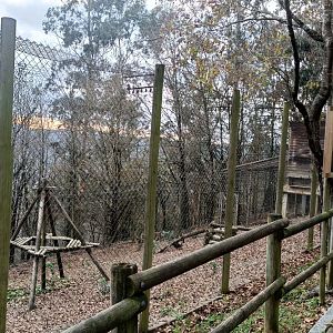 Karpín Fauna - Barbary macaque enclosure 1