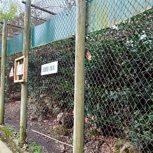 Karpín Fauna - Clouded leopard enclosure