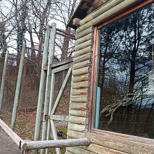 Karpín Fauna - Common marmoset indoor enclosure