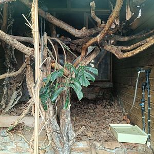 Karpín Fauna - Common marmoset indoor enclosure
