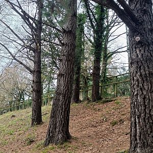 Karpín Fauna - Ratite enclosure