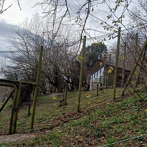 Karpín Fauna - Crab-eating macaque enclosure