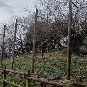 Karpín Fauna - Crab-eating macaque enclosure