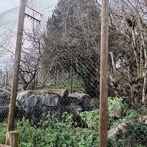 Karpín Fauna - Crab-eating macaque enclosure