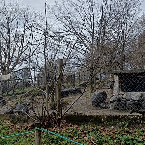 Karpín Fauna - Porcupine enclosure