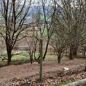 Karpín Fauna - Wolf enclosure