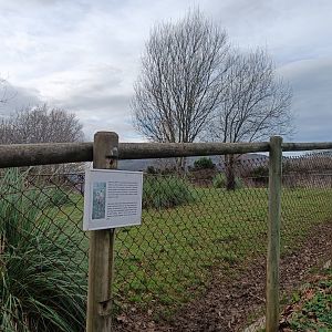 Karpín Fauna - Red deer enclosure