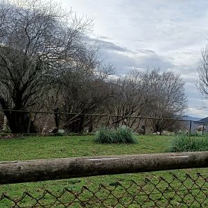 Karpín Fauna - Red deer enclosure