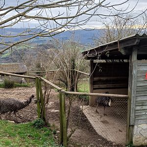 Karpín Fauna - Ratite enclosure