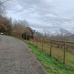 Karpín Fauna - Ratite enclosure