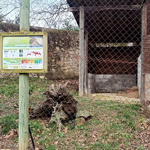 Karpín Fauna - Tortoise enclosure