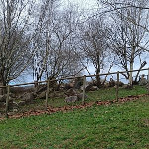 Karpín Fauna - Gryffon vulture enclosure