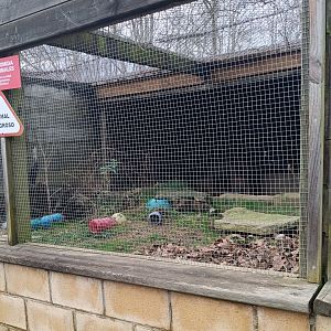 Karpín Fauna - Meerkat enclosure