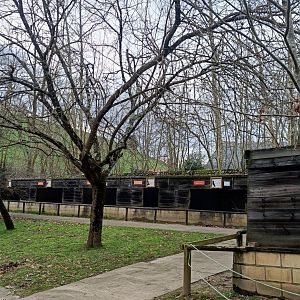 Karpín Fauna - Raptors