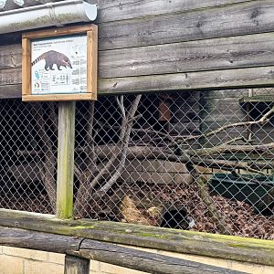 Karpín Fauna - Coati enclosure