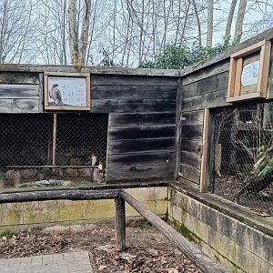 Karpín Fauna - Viewing for savannah cat and booted eagle