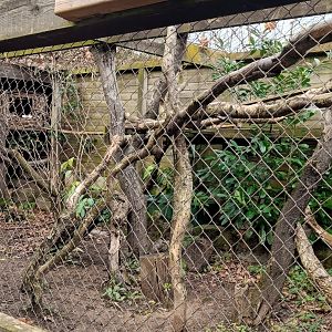 Karpín Fauna - Savannah cat enclosure