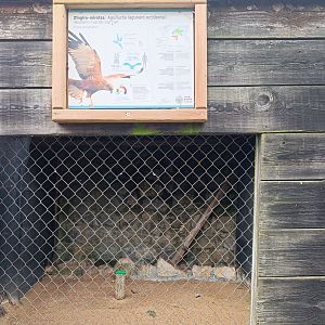 Karpín Fauna - Western marsh harrier enclosure