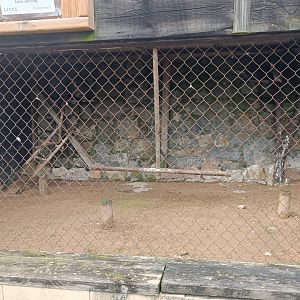 Karpín Fauna - Saker falcon enclosure