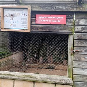 Karpín Fauna - Barn owl enclosure
