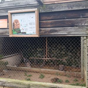 Karpín Fauna - Tawny owl enclosure