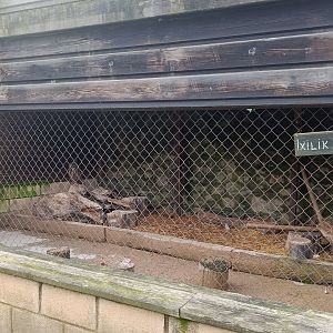 Karpín Fauna - Eurasian eagle-owl enclosure