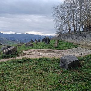 Karpín Fauna - Brown bear enclosure