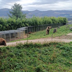 Karpín Fauna - Brown bear enclosure