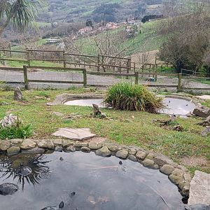 Karpín Fauna - Turtle enclosure
