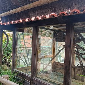 Karpín Fauna - Common marmoset indoor enclosure