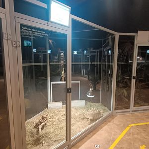 Karpín Fauna - African spurred tortoise enclosure