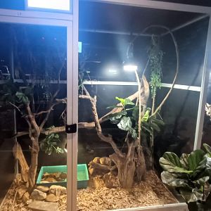 Karpín Fauna - Alligator snapping turtle enclosure