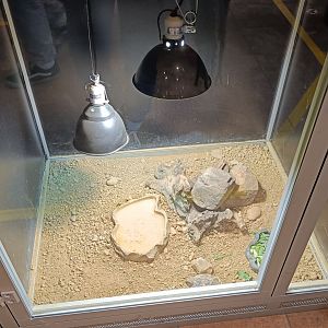 Karpín Fauna - Mediterranean tortoise enclosure