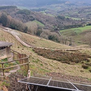 Karpín Fauna - Red deer enclosure