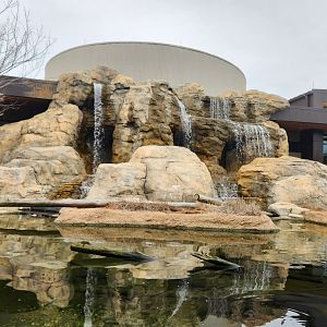 Go Fish Education Center - Trout exhibit