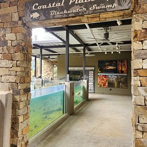 Go Fish Education Center - Coastal Plains exhibit entrance