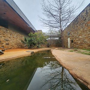 Go Fish Education Center - Alligator exhibit