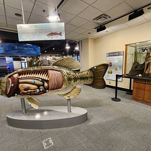 Go Fish Education Center - Fishing museum