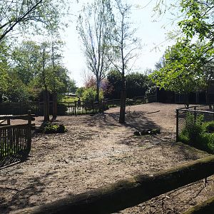 Domestic reindeer paddock, 2023-04-30