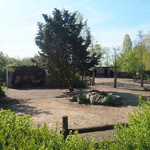 Domestic reindeer paddock, 2023-04-30