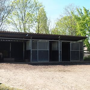 Domestic reindeer barn, 2023-04-30