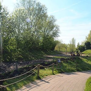 Walkway and Bactrian camel paddock, 2023-04-30