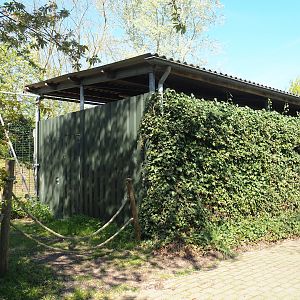 Bactrian camel barn, 2023-04-30