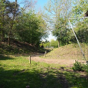 Bactrian camel paddock, 2023-04-30