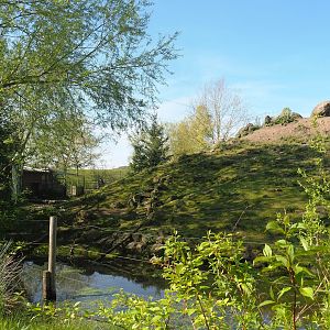 Alpine ibex exhibit, 2023-04-30